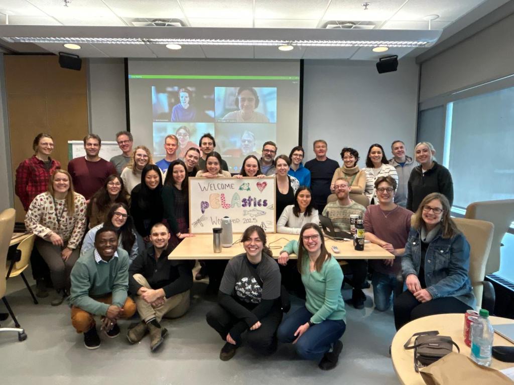 2025 pELAstic Workshop